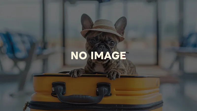 フレンチブルドッグにサプリは必要？