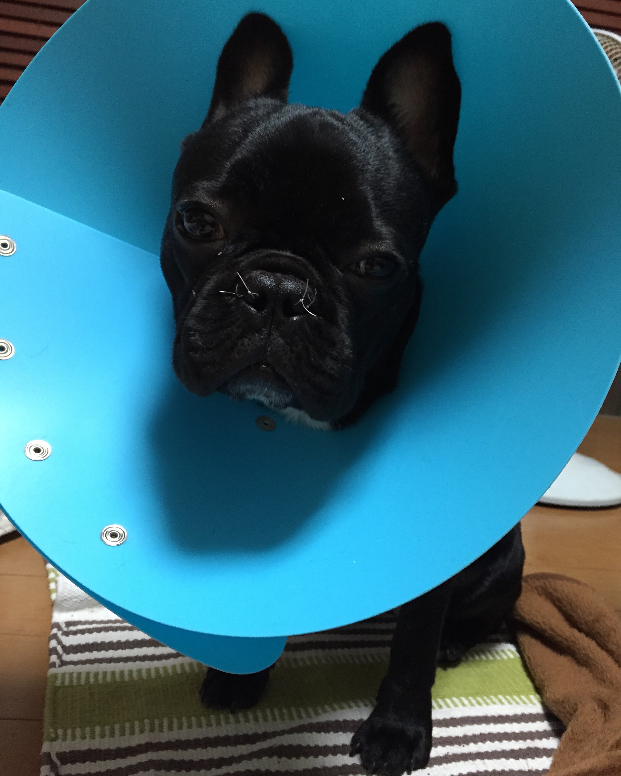 2015-07-07_20-03-55_576