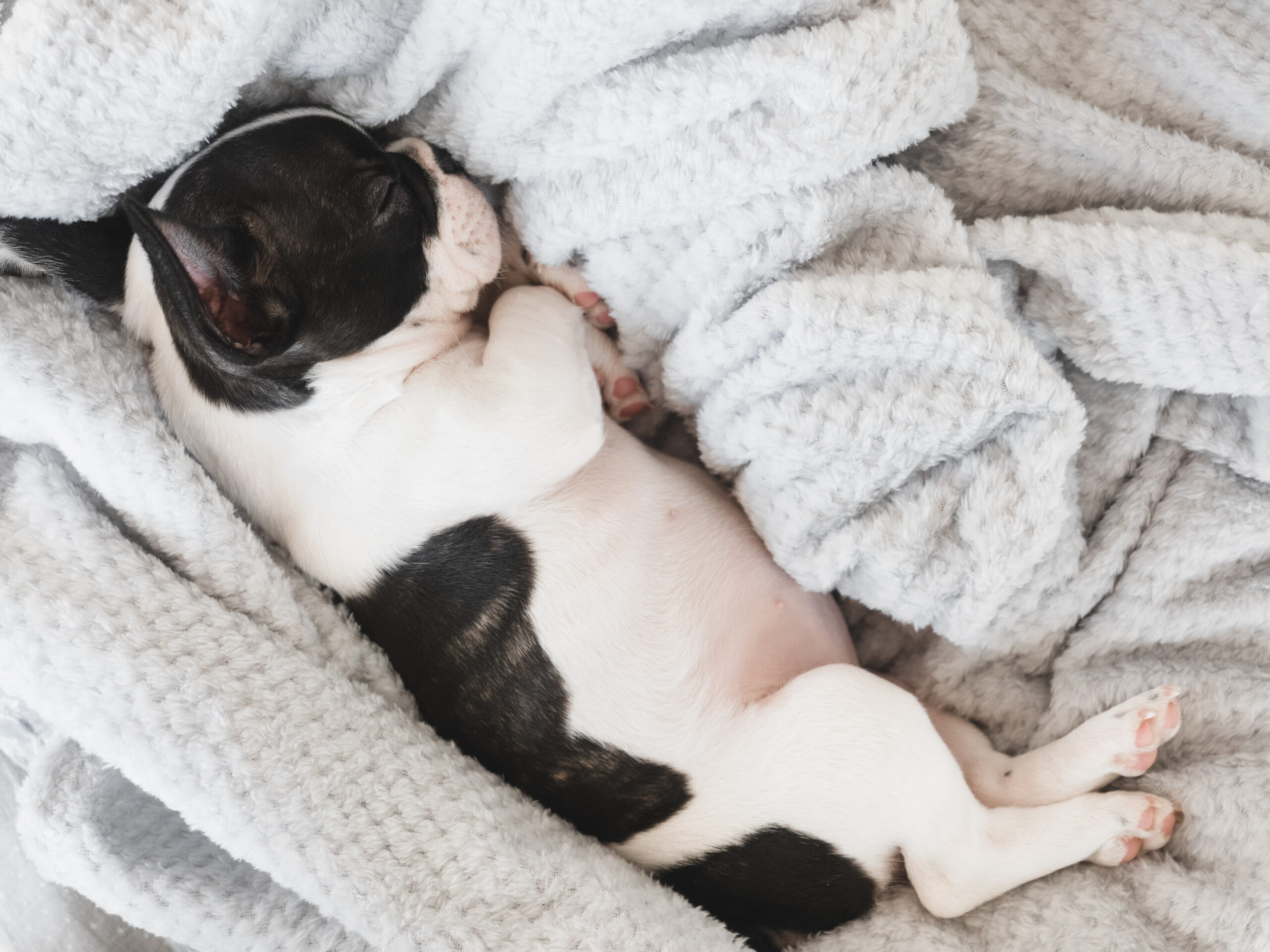 1日の半分以上(12〜14時間)を寝る