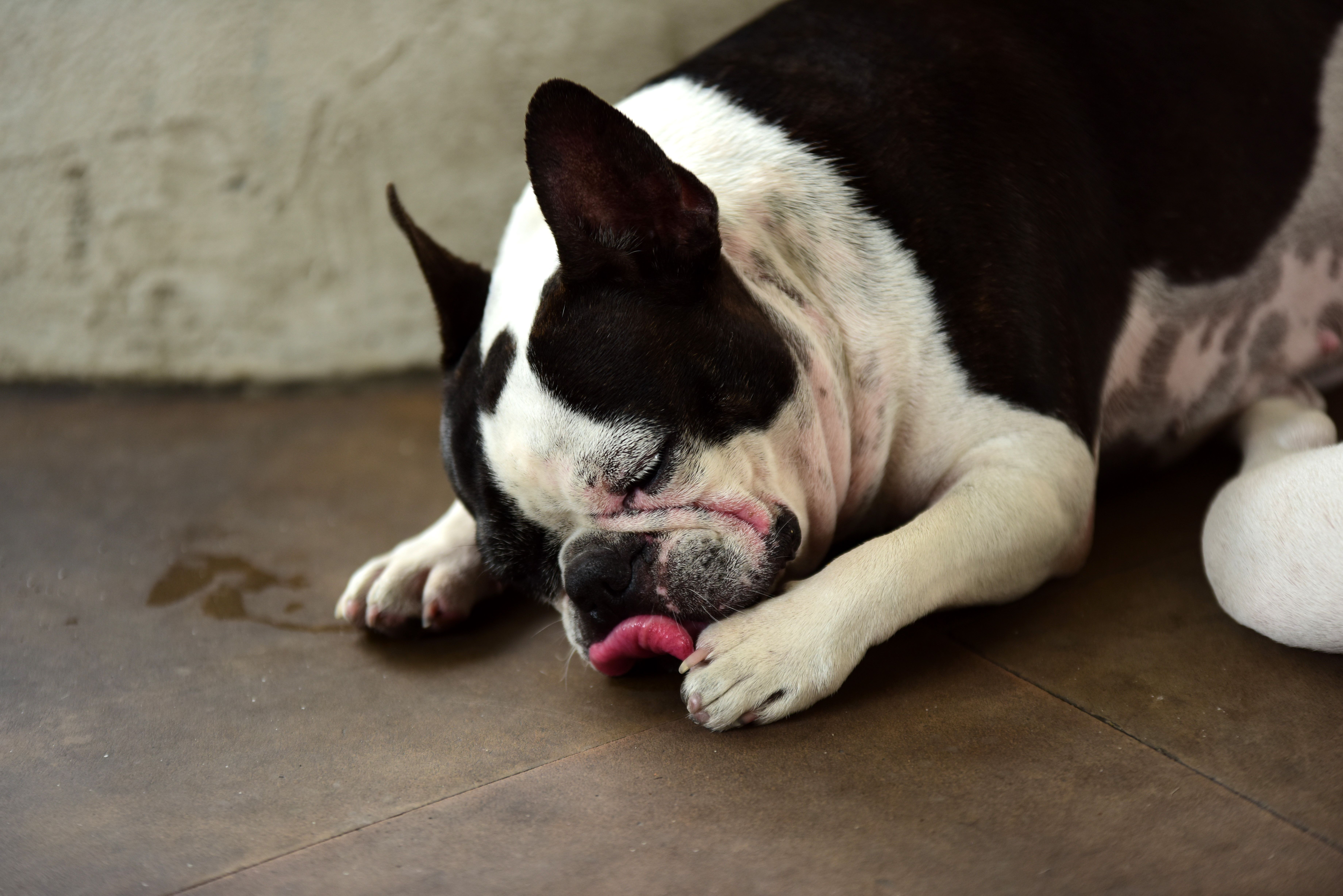 「足の指の間」を舐め始めたらサイン