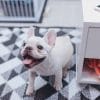 殺虫剤を部屋でまいた後、バルサンたいた後、すぐに部屋に入れていい？