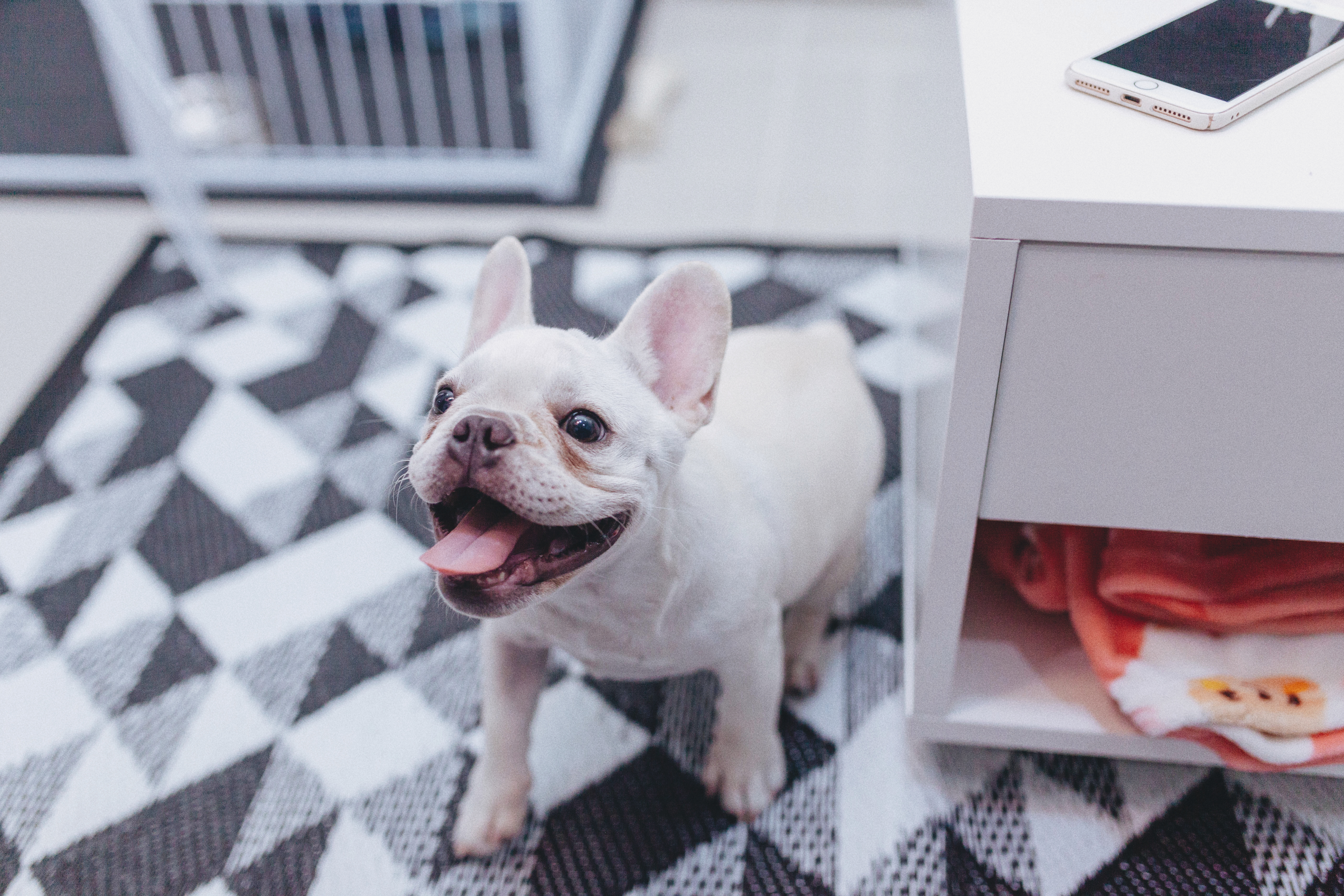 殺虫剤を部屋でまいた後、バルサンたいた後、すぐに部屋に入れていい？