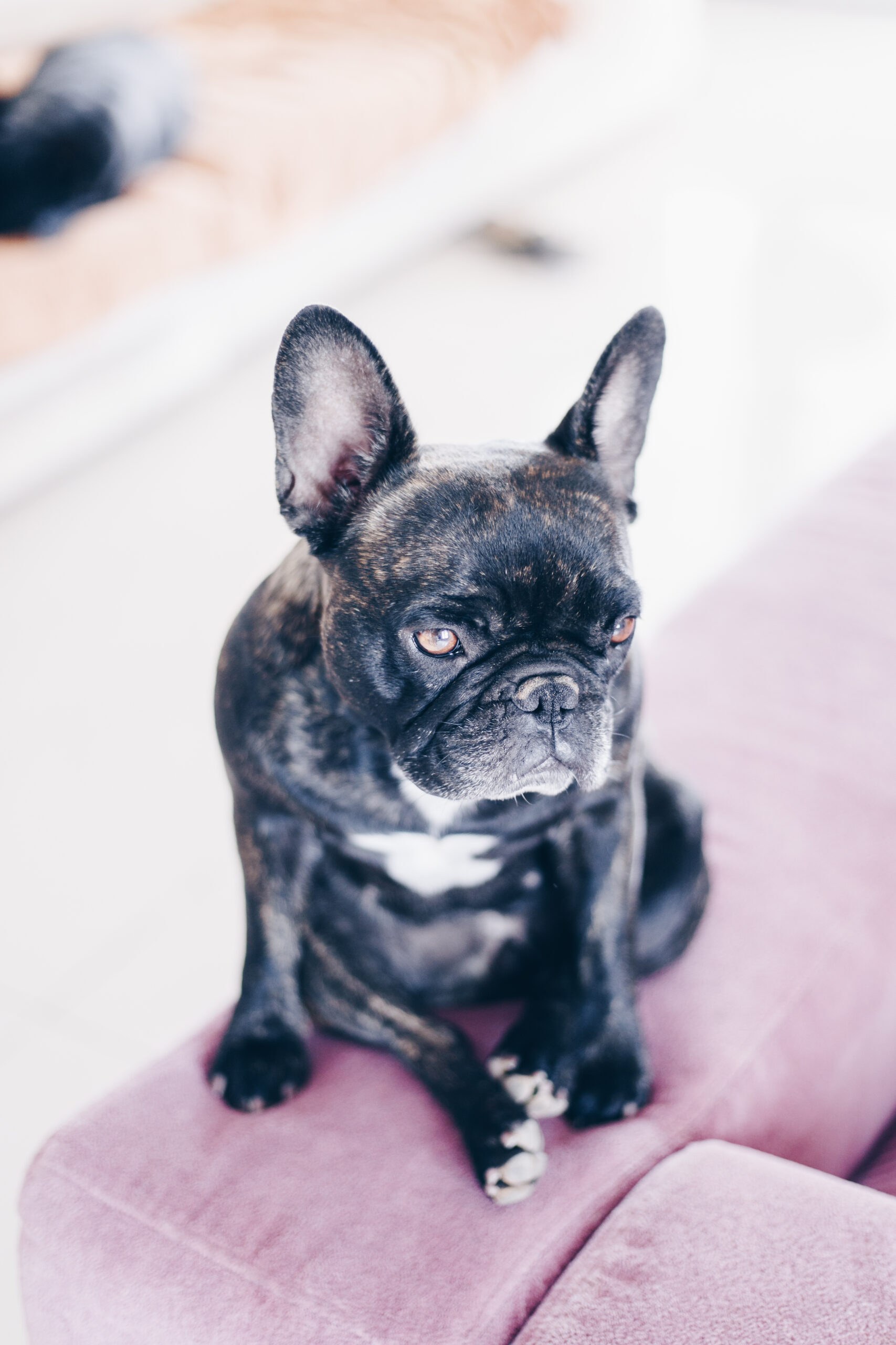 謎の並び順「手足足手(てあしあして)」