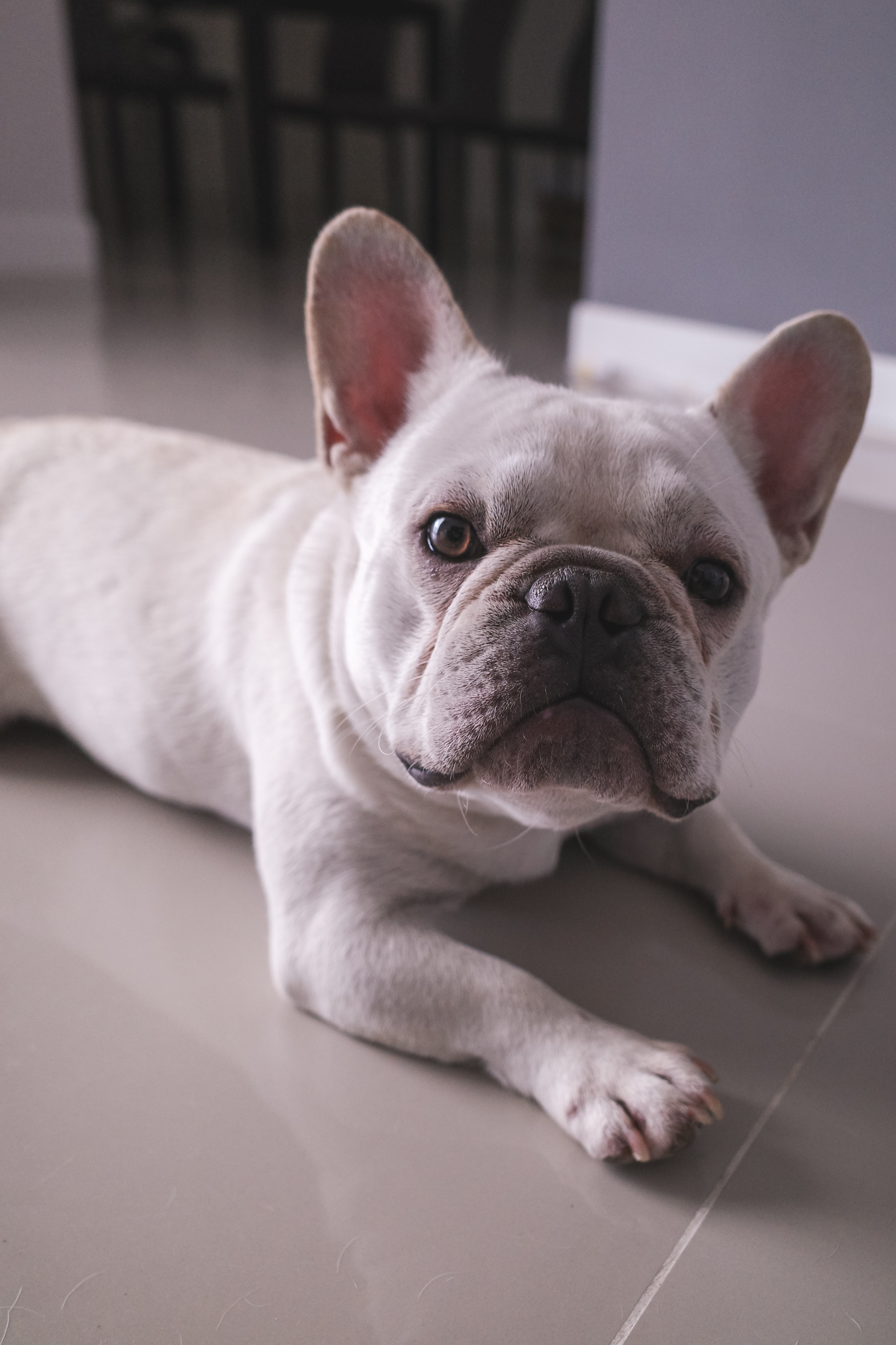 クリームは「おっとり」が多い説