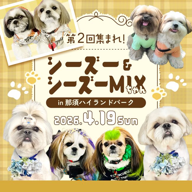 集まれ！シーズー&シーズーMIXちゃん