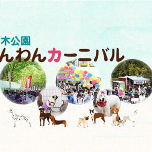 代々木公園わんわんカーニバル