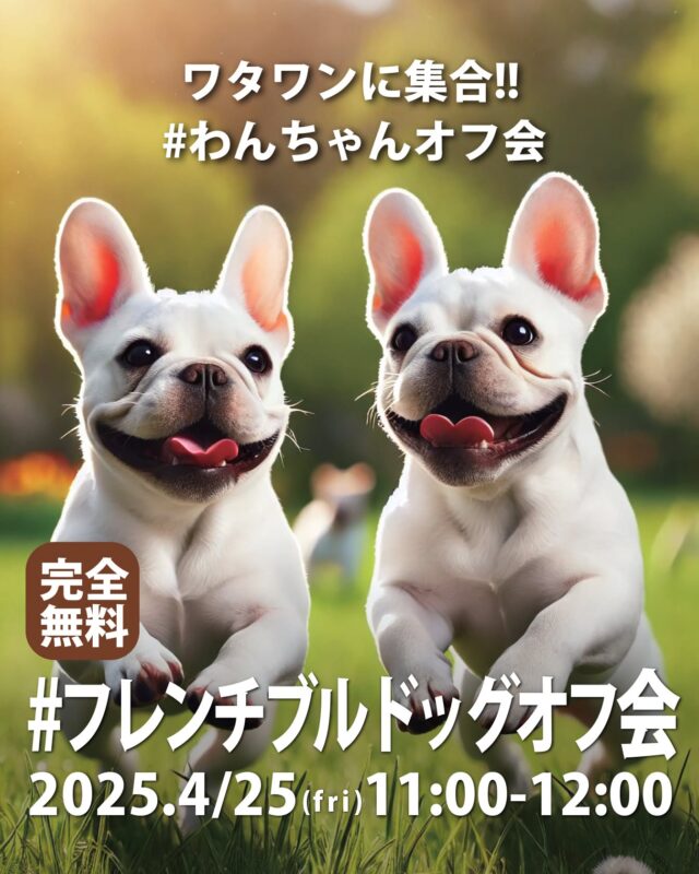 フレンチブルドッグオフ会