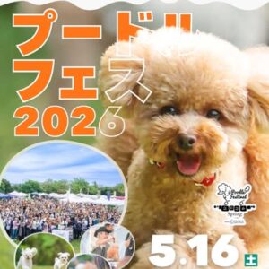 プードルフェスティバル 2026 SPRING meets 大阪北港マリーナ