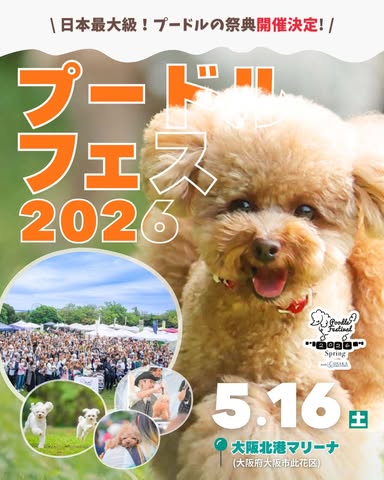 プードルフェスティバル 2026 SPRING meets 大阪北港マリーナ