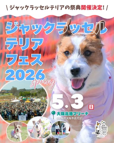 ジャックラッセルテリアフェスティバル 2026 SPRING meets 大阪北港マリーナ