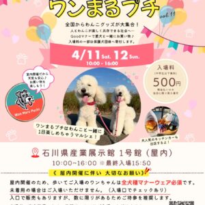 ワンまるプチ vol.11