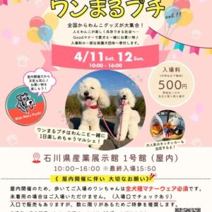 ワンまるプチ vol.11