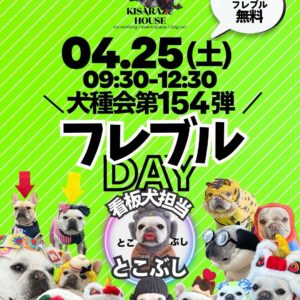 【犬種会第154弾】フレブルDay