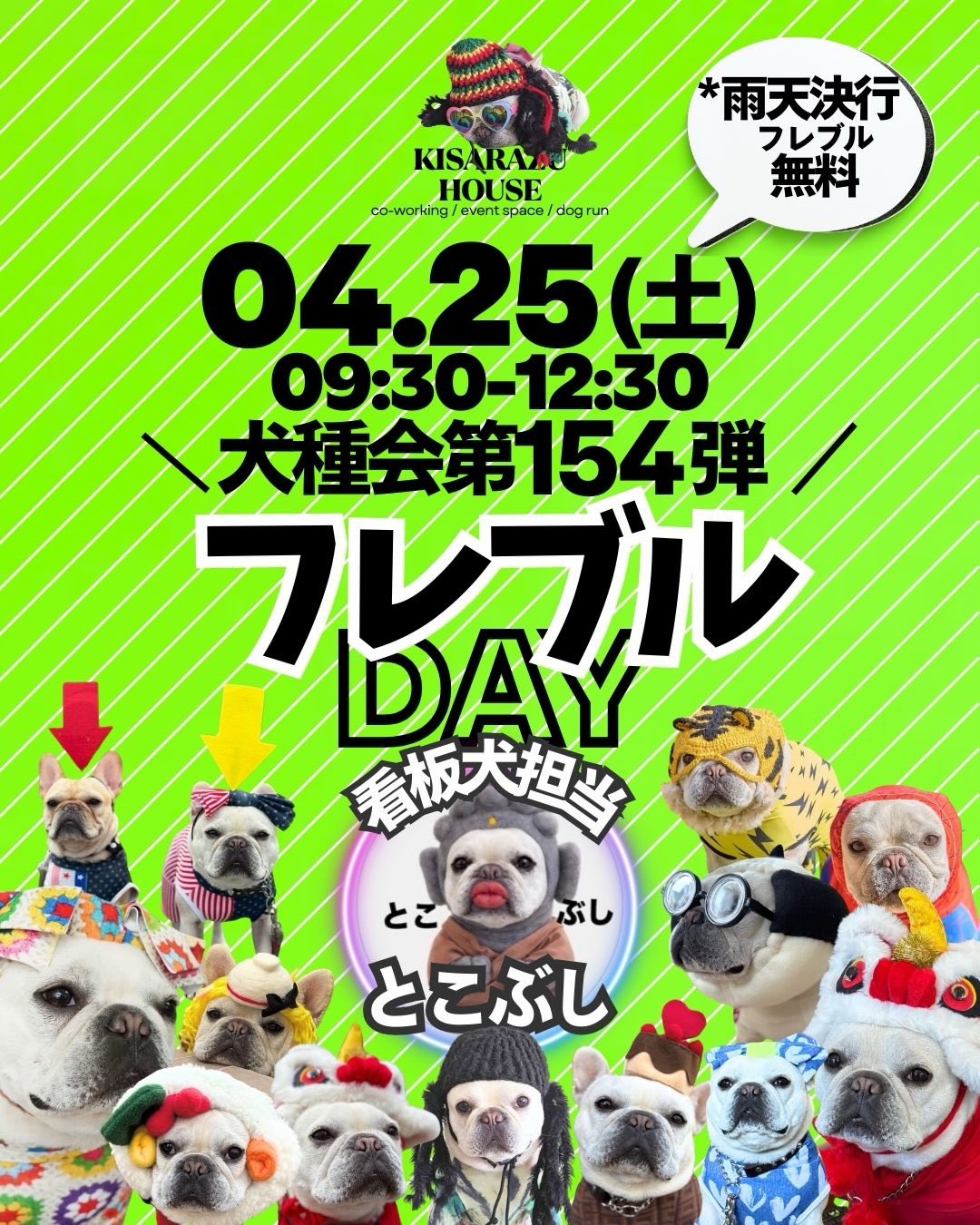 【犬種会第154弾】フレブルDay