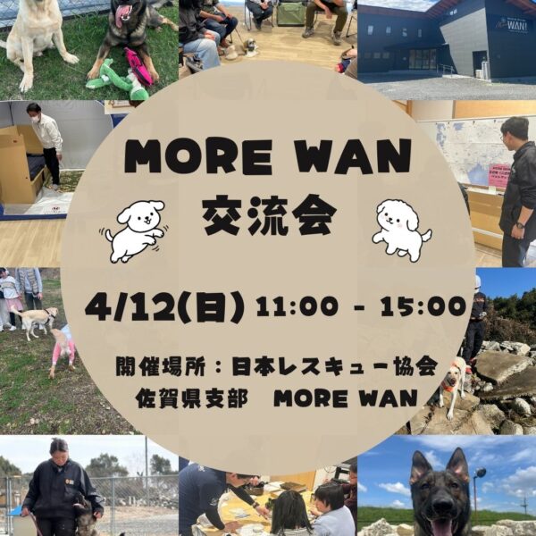 MORE WAN交流会