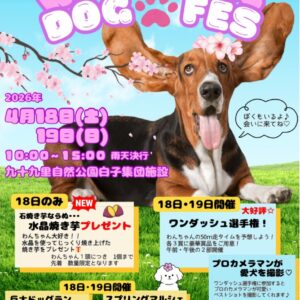 第4回 わんダフル・ドッグフェス