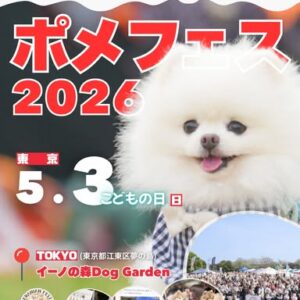 ポメラニアンフェスティバル 2026 こどもの日