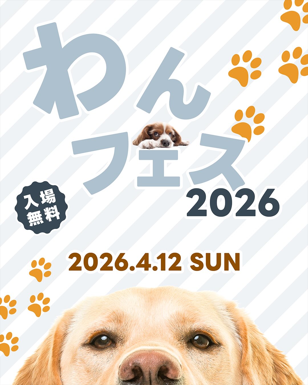 わんフェス 2026