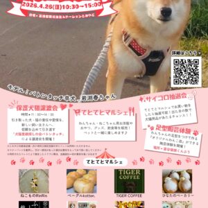 とみやどわんにゃんDay