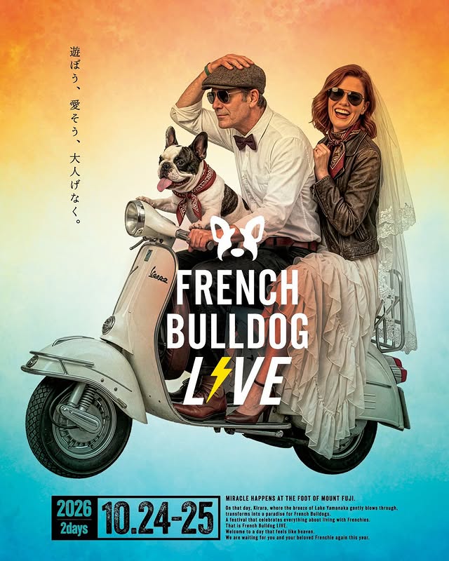French Bulldog LIVE（フレブルLIVE）