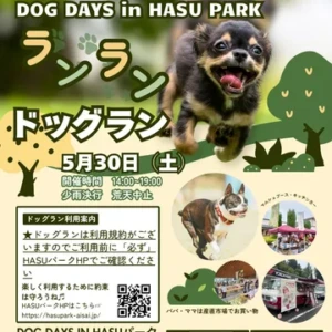 DOG DAYS in hasuパーク