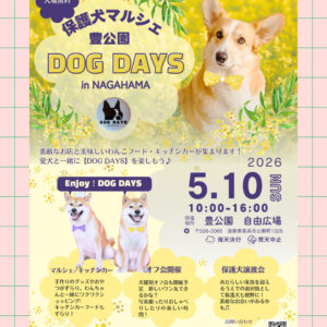 DOG DAYS in NAGAHAMA