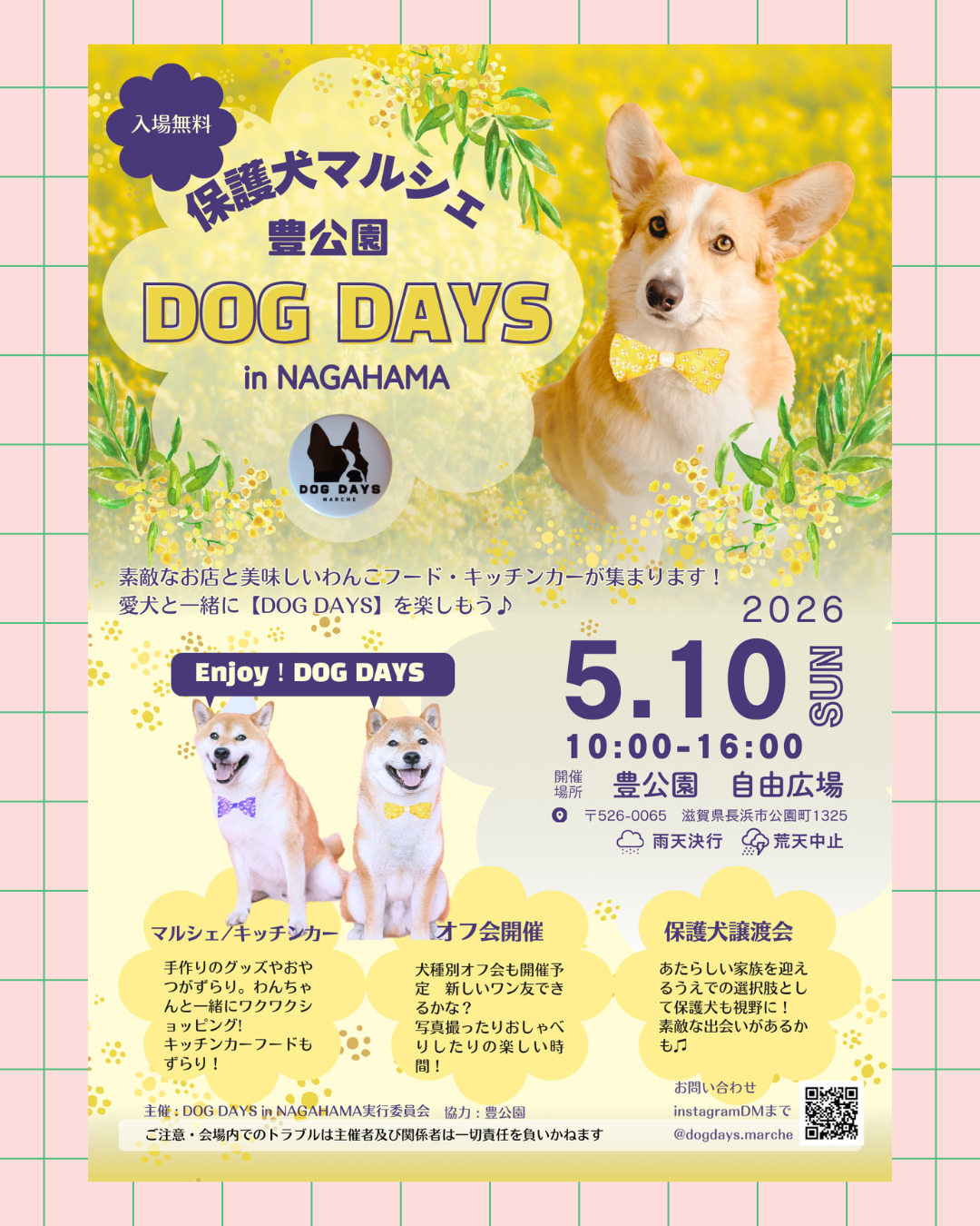 DOG DAYS in NAGAHAMA