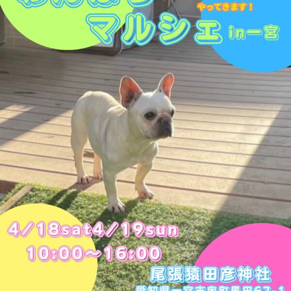 わんぱらマルシェ in 一宮