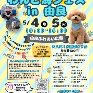 わんこ海フェス2026 in 由良