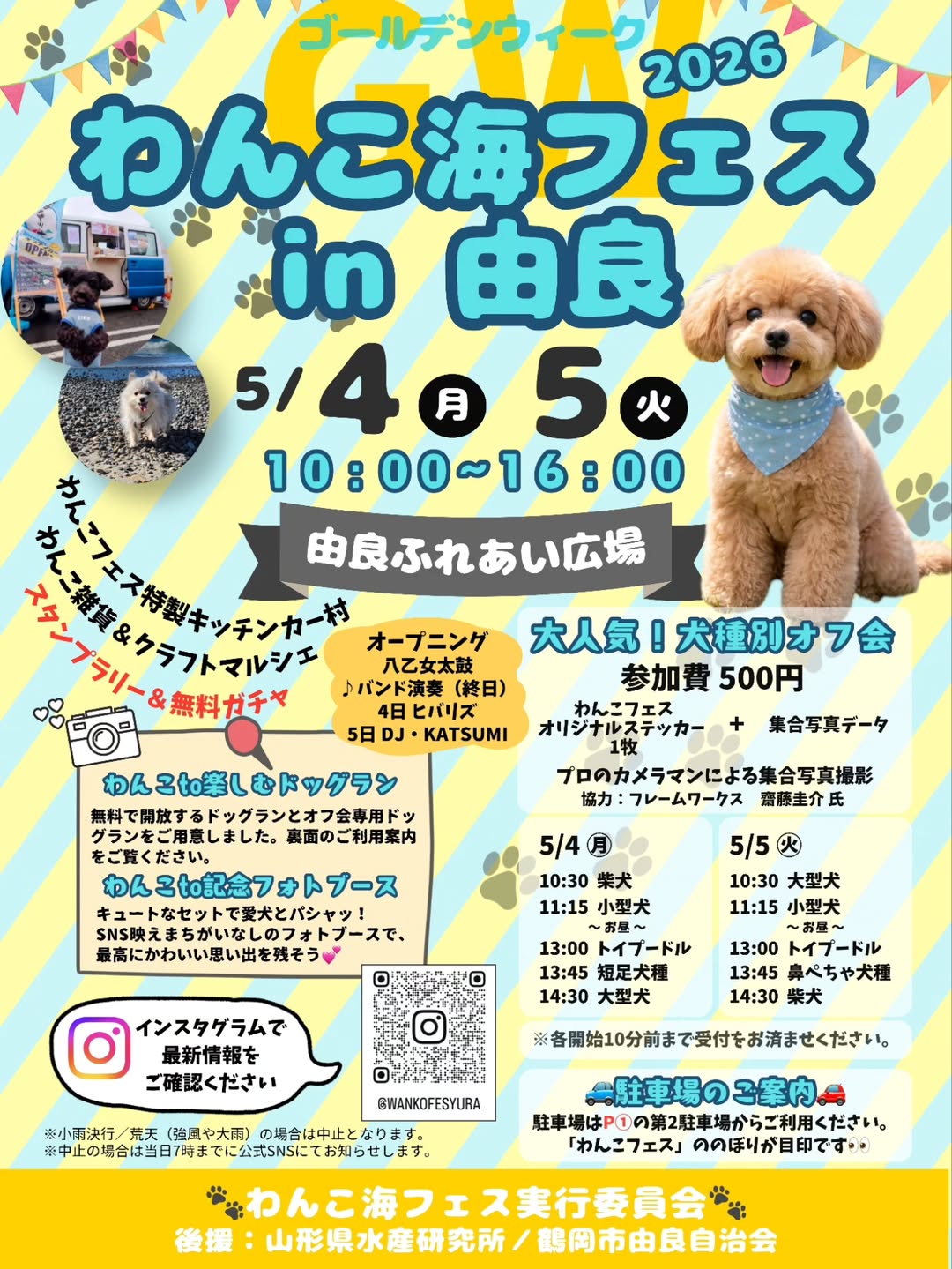 わんこ海フェス2026 in 由良