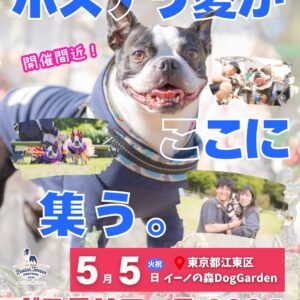 ボストンテリアフェスティバル 2026 meets イーノの森Dog Garden