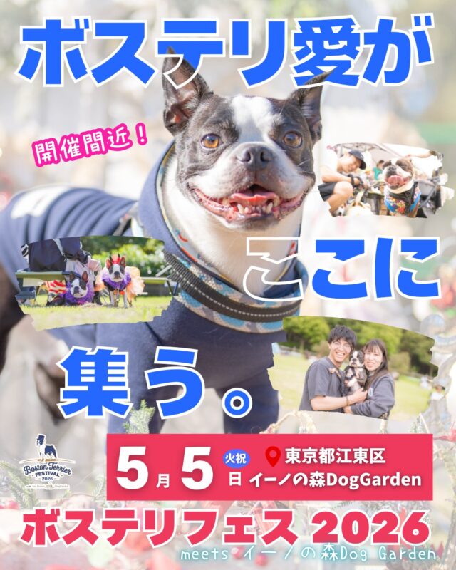 ボストンテリアフェスティバル 2026 meets イーノの森Dog Garden