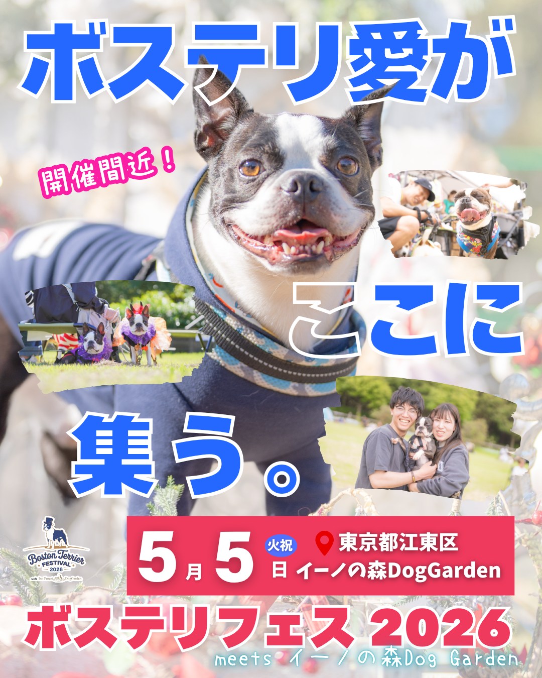 ボストンテリアフェスティバル 2026 meets イーノの森Dog Garden