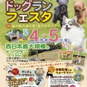 丹後王国ドッグランフェスタ