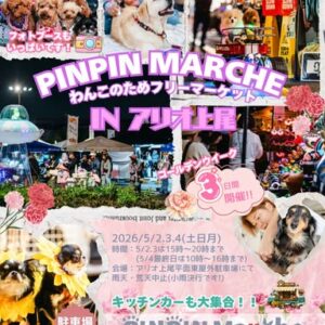 PINPIN Marche
