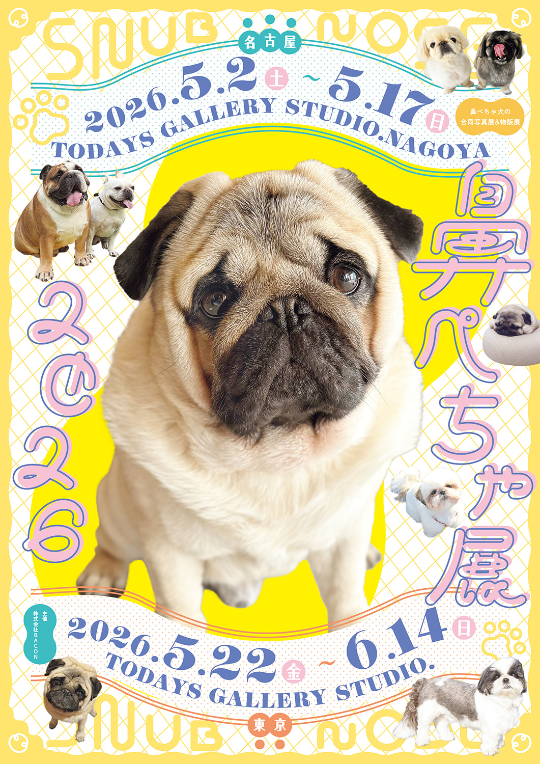 鼻ぺちゃ展 2026