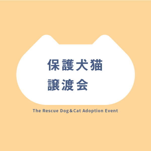 パナソニック保護犬猫譲渡会2026