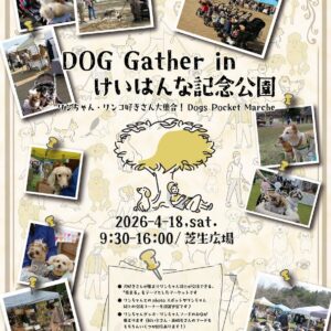 ドッグギャザー 2026-春