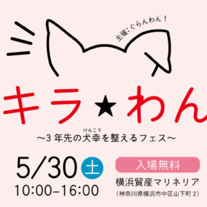 ぐらんわん！キラキラ☆わんコラボ