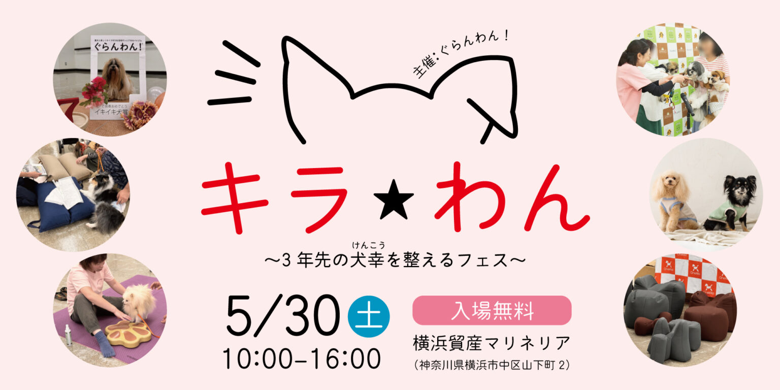 ぐらんわん！キラキラ☆わんコラボ