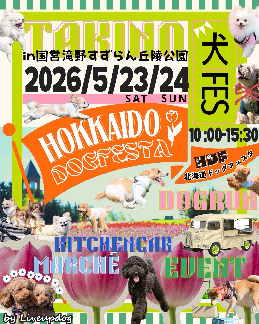 北海道ドッグフェスタ