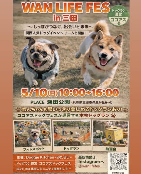 WAN LIFE FES in 三田