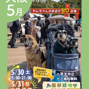 あつまれ！わんダーランド