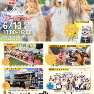 ミニ！ワン・だら・りん！