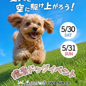 Have Fun! × WANBEE in パルコール嬬恋2026