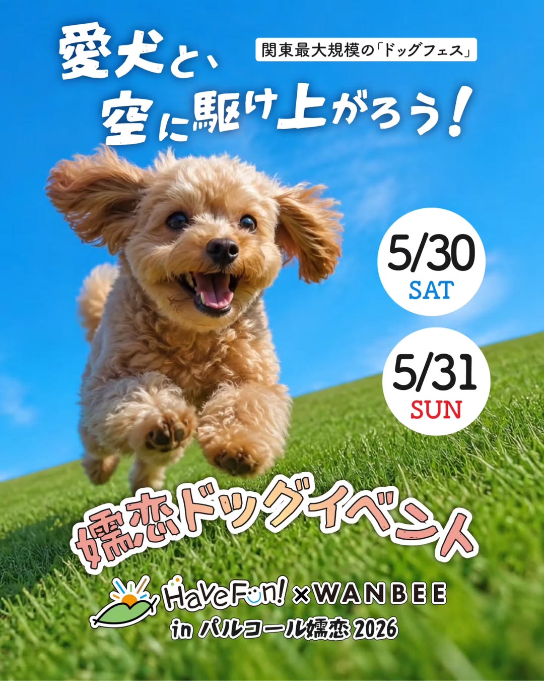 Have Fun! × WANBEE in パルコール嬬恋2026