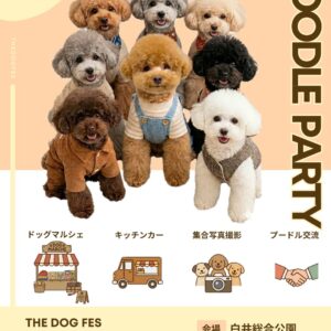 THE DOG FES プードルパーティー