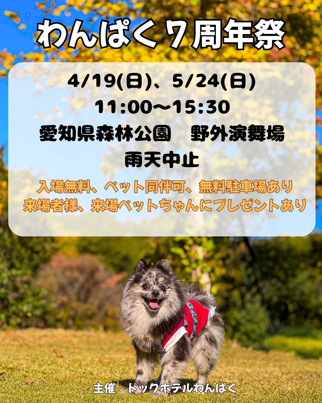わんぱく7周年祭